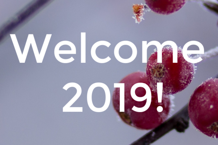 Welcome 2019!