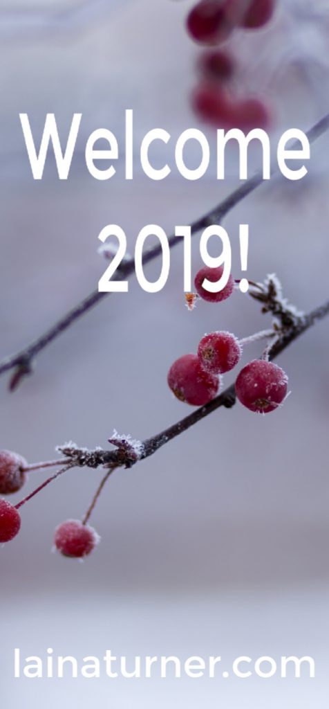 Welcome 2019! 1 welcome pin Welcome 2019!